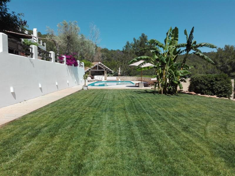 Can Gerbera , Central , East  