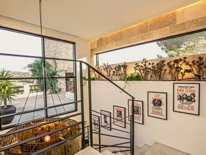 Can Gerbera , Central , East  