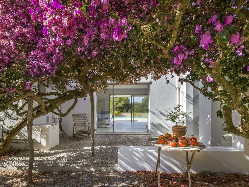 Casa Flor , Ibiza , Talamanca  