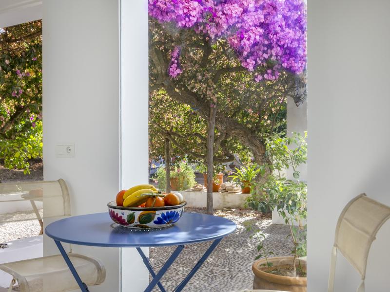 Casa Flor , Ibiza , Talamanca  