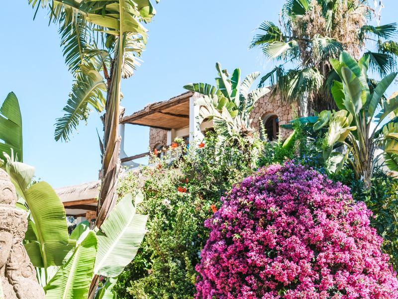 Cana Celeste , Ibiza  