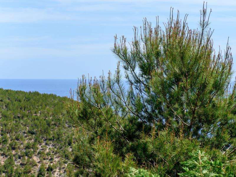 Villa Infinite , Ibiza  