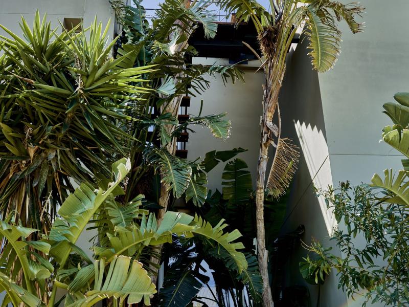 Villa Bless , Cala Conta , Ibiza , Sant Josep de sa Talaia  